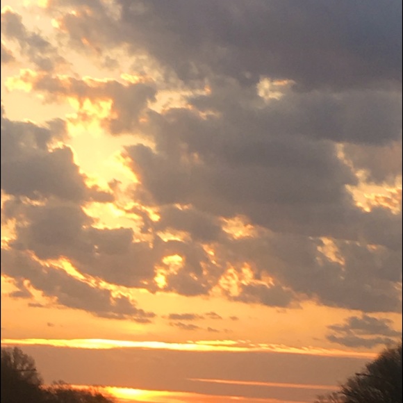 Meet your Posher, Barbara - Picture 2 of 2